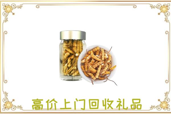 砀山周边回收虫草